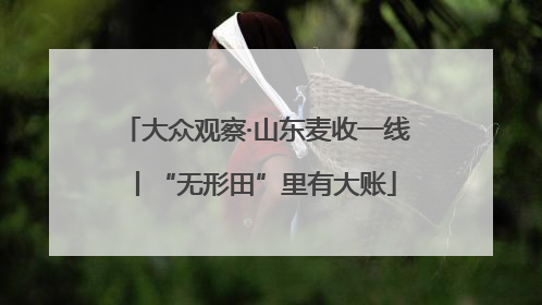 大众观察·山东麦收一线丨“无形田”里有大账