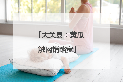 大关县：黄瓜触网销路宽