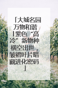 大城名园 万物和谐│紫色“高冷”新物种横空出世，皱褶叶片暗藏进化密码