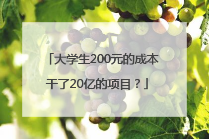 大学生200元的成本干了20亿的项目？