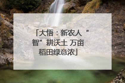 大悟：新农人“智”耕沃土 万亩稻田绿意浓