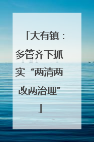 大有镇：多管齐下抓实“两清两改两治理”