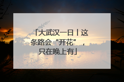 大武汉一日丨这条路会“开花”，只在晚上有