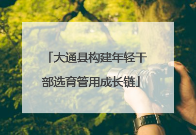 大通县构建年轻干部选育管用成长链