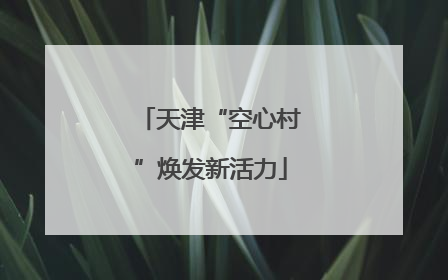 天津“空心村”焕发新活力