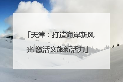 天津：打造海岸新风光 激活文旅新活力