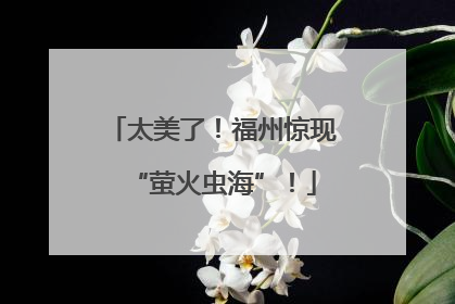 太美了！福州惊现“萤火虫海”！