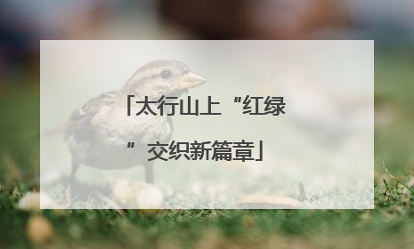 太行山上“红绿”交织新篇章