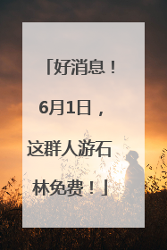 好消息！6月1日，这群人游石林免费！