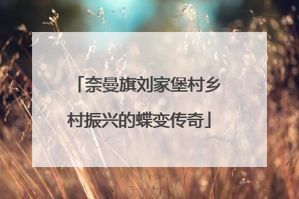 奈曼旗刘家堡村乡村振兴的蝶变传奇