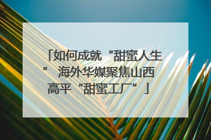 如何成就“甜蜜人生” 海外华媒聚焦山西高平“甜蜜工厂”