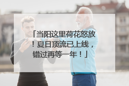 当阳这里荷花怒放！夏日顶流已上线，错过再等一年！