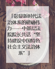 彰显新时代法治体系的磅礴伟力——中基层法院院长共话“坚持建设中国特色社会主义法治体系”