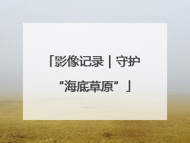 影像记录｜守护“海底草原”