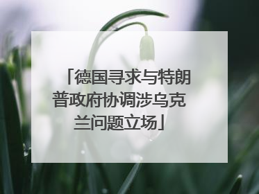 德国寻求与特朗普政府协调涉乌克兰问题立场