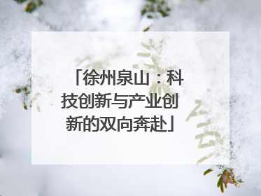 徐州泉山：科技创新与产业创新的双向奔赴