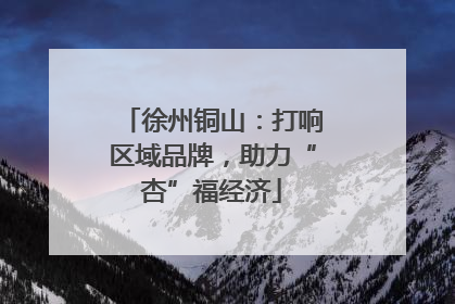 徐州铜山：打响区域品牌，助力“杏”福经济