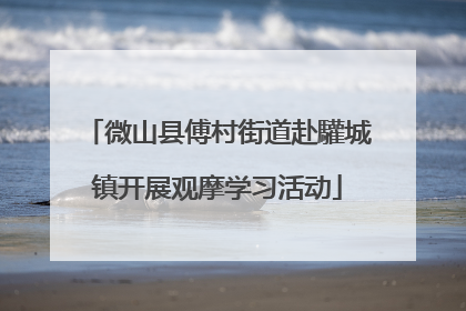 微山县傅村街道赴驩城镇开展观摩学习活动