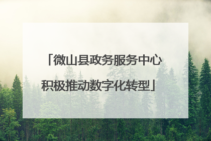 微山县政务服务中心积极推动数字化转型
