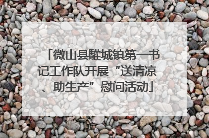 微山县驩城镇第一书记工作队开展“送清凉、助生产”慰问活动