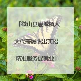 微山县驩城镇人大代表履职出实招精准服务促就业