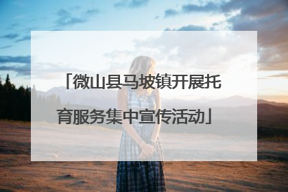 微山县马坡镇开展托育服务集中宣传活动