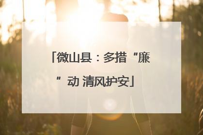 微山县：多措“廉”动 清风护安