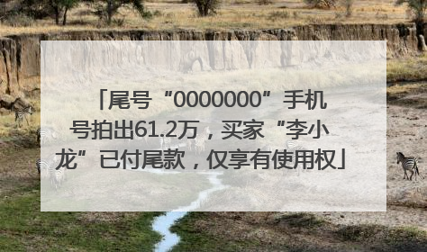 尾号“0000000”手机号拍出61.2万，买家“李小龙”已付尾款，仅享有使用权