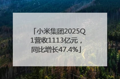 小米集团2025Q1营收1113亿元，同比增长47.4%