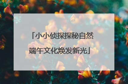 小小侦探探秘自然 端午文化焕发新光