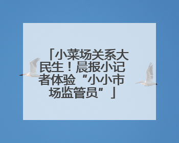 小菜场关系大民生！晨报小记者体验“小小市场监管员”