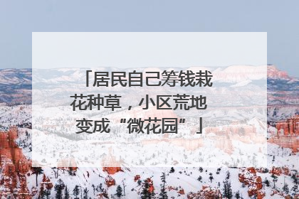 居民自己筹钱栽花种草，小区荒地变成“微花园”