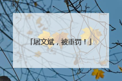 屠文斌，被重罚！