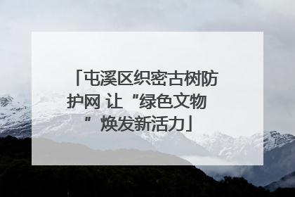 屯溪区织密古树防护网 让“绿色文物”焕发新活力