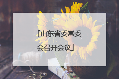 山东省委常委会召开会议