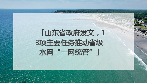 山东省政府发文，13项主要任务推动省级水网“一网统管”
