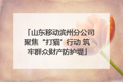 山东移动滨州分公司聚焦“打猫”行动 筑牢群众财产防护堤