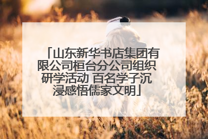 山东新华书店集团有限公司桓台分公司组织研学活动 百名学子沉浸感悟儒家文明