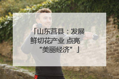 山东莒县：发展鲜切花产业 点亮“美丽经济”