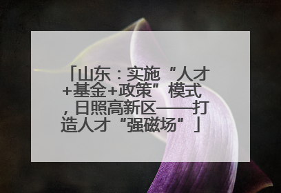山东：实施“人才+基金+政策”模式，日照高新区——打造人才“强磁场”