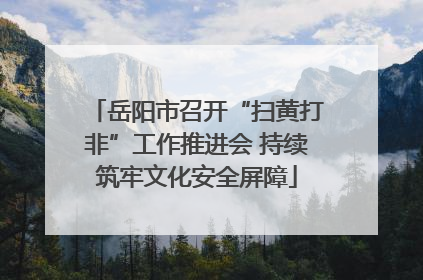 岳阳市召开“扫黄打非”工作推进会 持续筑牢文化安全屏障