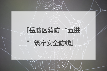 岳麓区消防 “五进” 筑牢安全防线