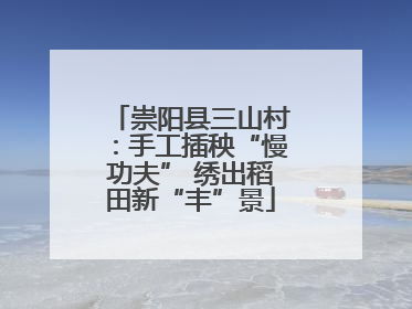 崇阳县三山村：手工插秧“慢功夫” 绣出稻田新“丰”景