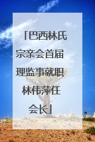巴西林氏宗亲会首届理监事就职 林伟萍任会长