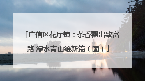 广信区花厅镇：茶香飘出致富路 绿水青山绘新篇（图）