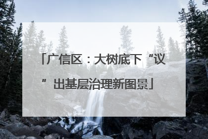广信区：大树底下“议”出基层治理新图景