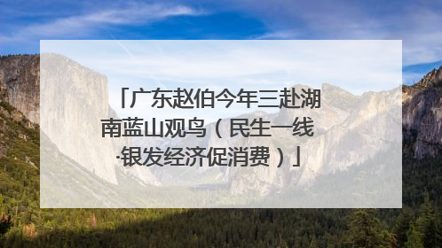 广东赵伯今年三赴湖南蓝山观鸟（民生一线·银发经济促消费）