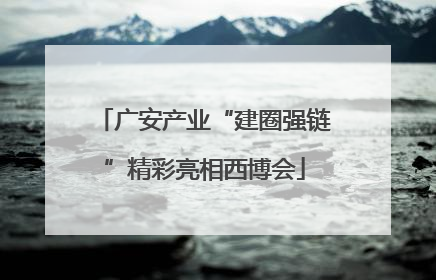 广安产业“建圈强链”精彩亮相西博会