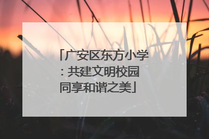 广安区东方小学：共建文明校园 同享和谐之美