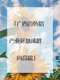 广西百色铝产业延链成群向高端